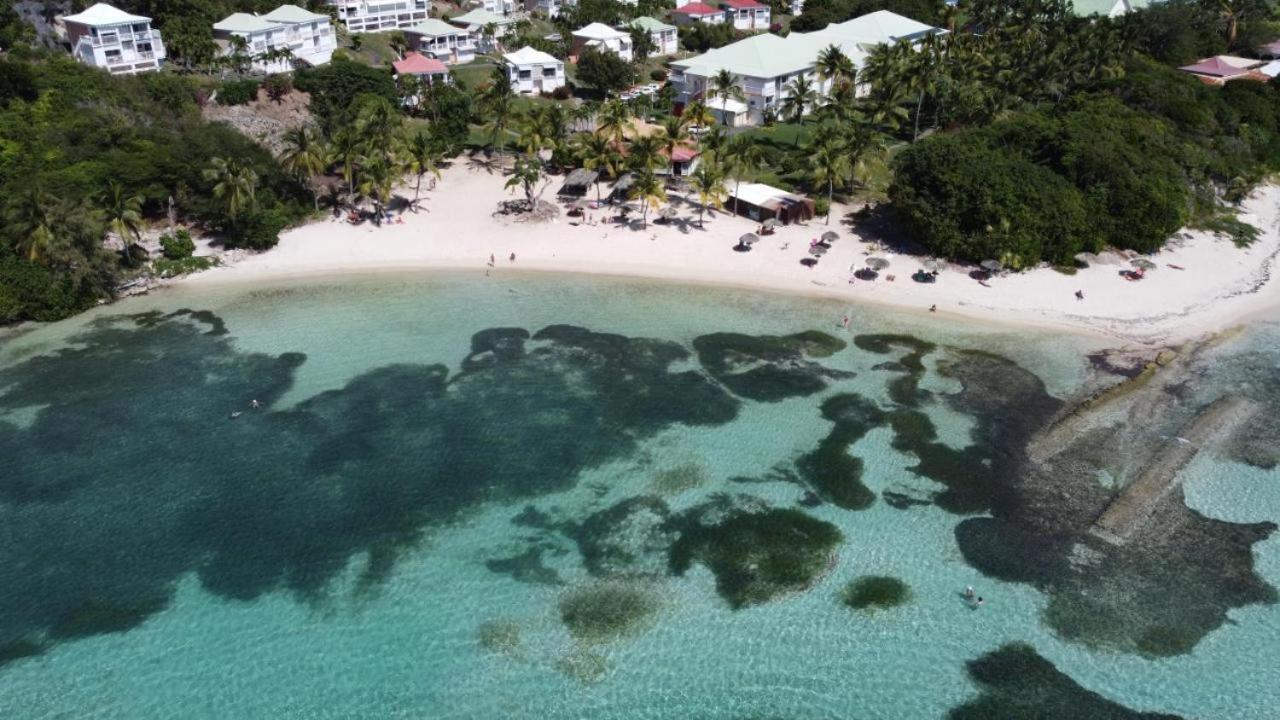Anse des Rochers les Alizés du soir piscine plage Saint-Francois  Extérieur photo