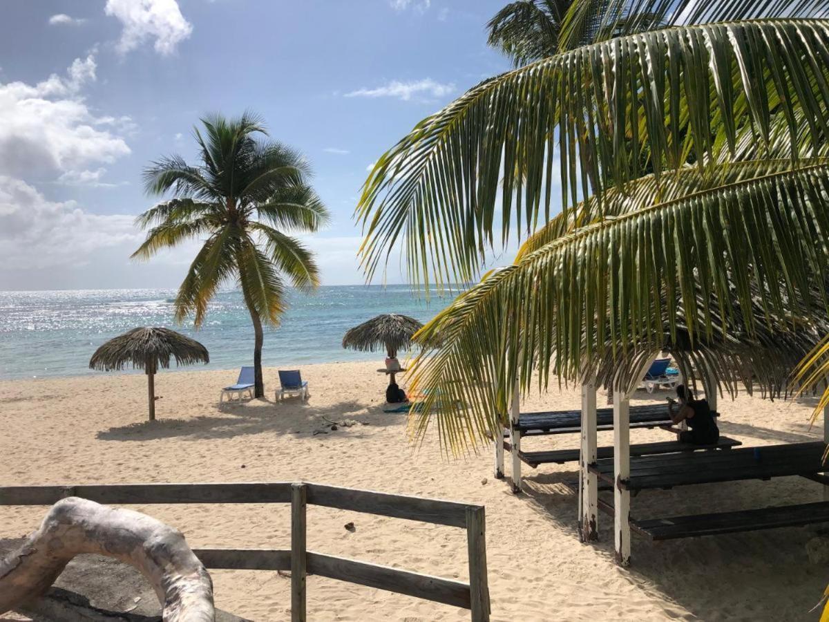 Anse des Rochers les Alizés du soir piscine plage Saint-Francois  Extérieur photo